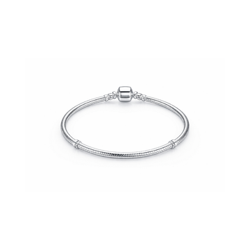 Silver Snake Chain Bracelet