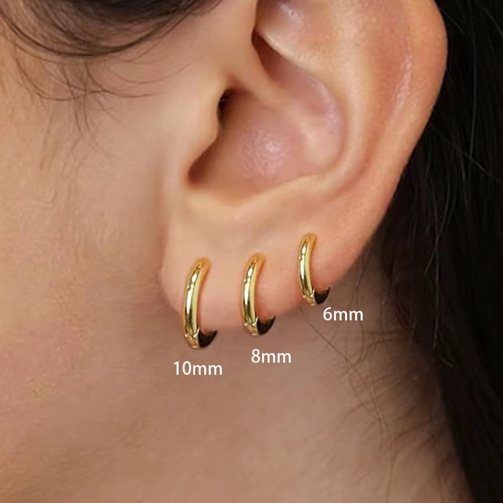 Stainless Steel Hoop Earrings Set